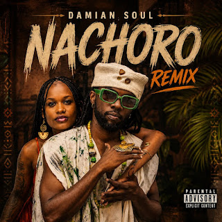Damian Soul – Nachoro (Remix) MP3 Download | AUDIO Mpya