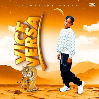Ngwengwe Masta – Vice Versa MP3 Download | AUDIO Mpya