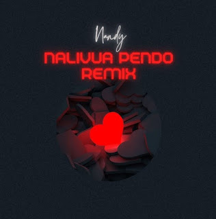 Nandy - Nalivua Pendo Remix MP3 Download | AUDIO Mpya