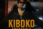 Rayvanny - Kiboko Freestyle MP3 Download | AUDIO Mpya