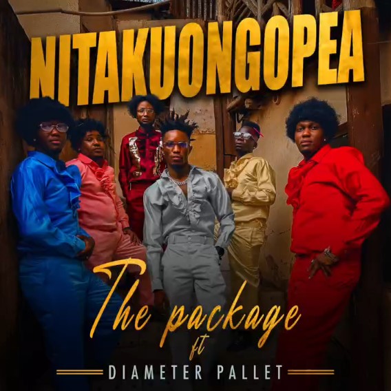 Diameter Pallet – Nitakuongopea MP3 Download | Audio Mpya