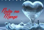 Diamond Platnumz ft Chidi Beenz – Nalia na Mengi MP3 Download