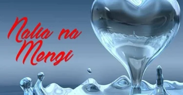 Diamond Platnumz ft Chidi Beenz – Nalia na Mengi MP3 Download