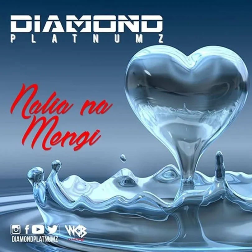 Diamond Platnumz ft Chidi Beenz – Nalia na Mengi MP3 Download