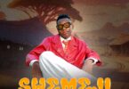 Founder Tz - Shemeji MP3 Download | Audio Mpya