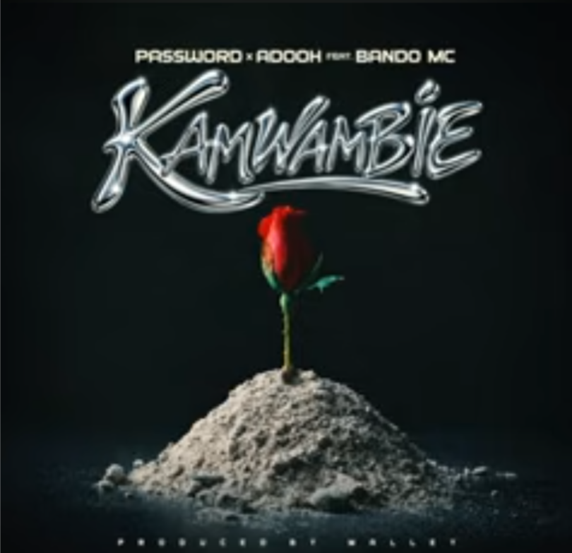 Password Ft Bando Mc – Kamwambie MP3 Download Audio Mpya