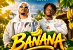 D voice Ft Jay Melody - Banana MP3 Download | Audio Mpya