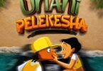 Dogo Elisha – Unani Pelekesha MP3 Download | Audio Mpya