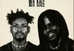 Dox Tz ft Bruce Africa - Wa Kale MP3 Download | Audio Mpya