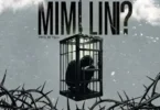 Toxic - Mimi Lini MP3 Download | Audio Mpya