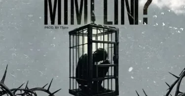 Toxic - Mimi Lini MP3 Download | Audio Mpya