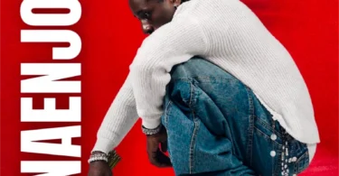 Stans - Naenjoy MP3 Download | Audio Mpya