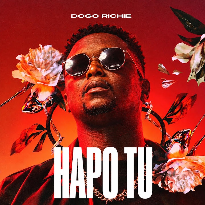 Dogo Richie - Hapo tu | Audio Mpya