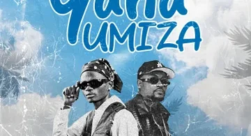 Don Breezy – Yanaumiza Ft Moni Centrozone | Audio Mpya
