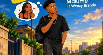 Malume Ft Weezy Brandy - Sababu MP3 Download | Audio Mpya