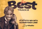 Dogo Mallo - Natokea Lindi MP3 Download | AUDIO Mpya